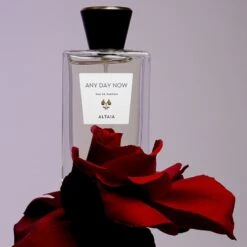 Any Day Now Eau De Parfum -Comme des Garcons Sales Store 47055 2 min