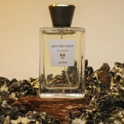 Any Day Now Eau De Parfum -Comme des Garcons Sales Store 47055 3 min